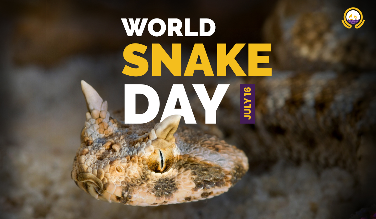 The Snakes Of Qatar World Snake Day